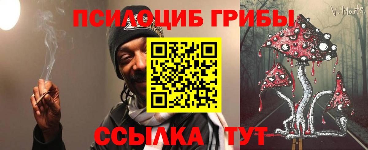 Псилоцибиновые грибы Cubensis Амурск