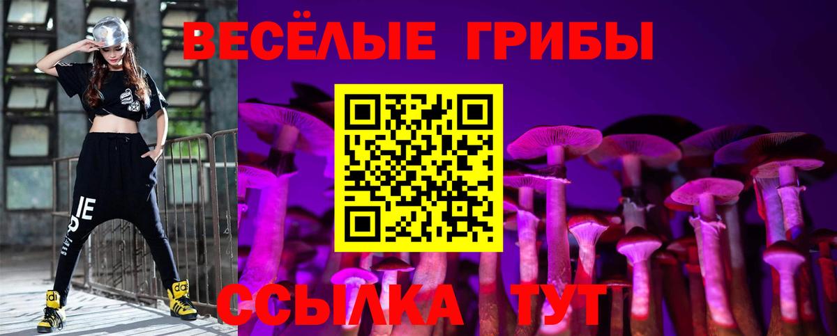 Амурск  Псилоцибиновые грибы Magic Shrooms  цены   Вход с VPN 